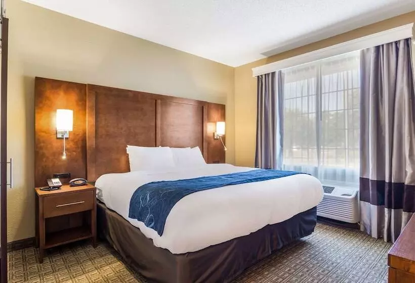 身障者適用スイートルーム, Comfort Suites