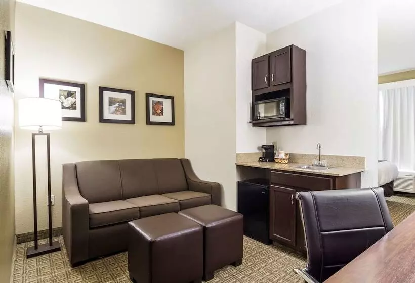 身障者適用スイートルーム, Comfort Suites