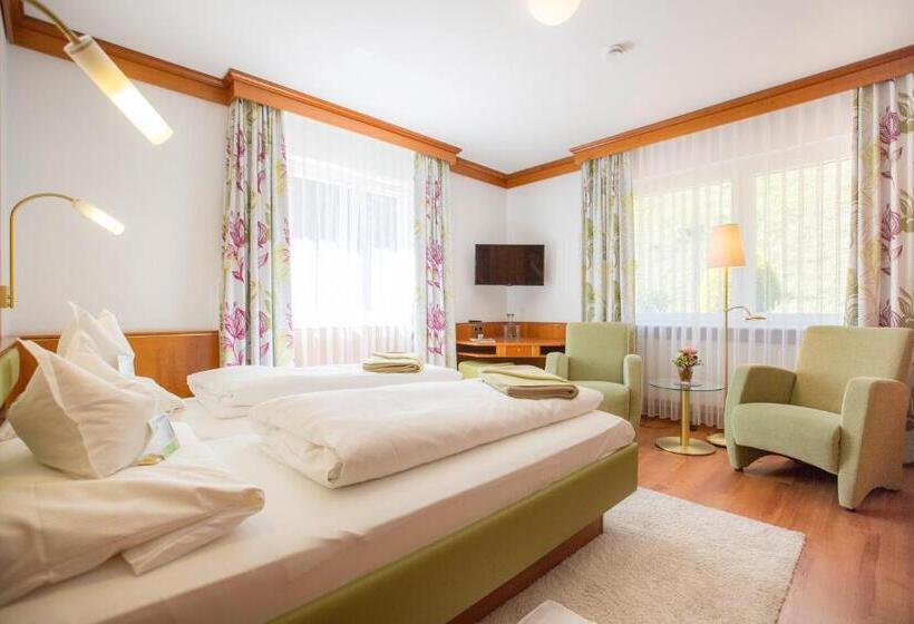 Номер Стандарт, Flair Hotel Adlerbad