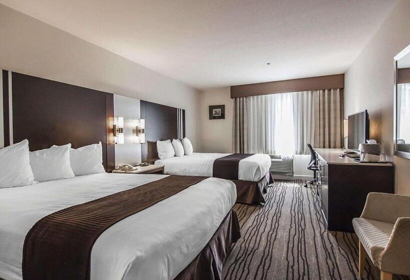 スタンダードルーム, Quality Hotel Airport South