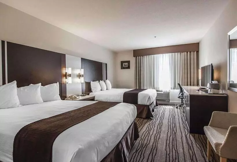 اتاق استاندارد, Quality Hotel Airport South