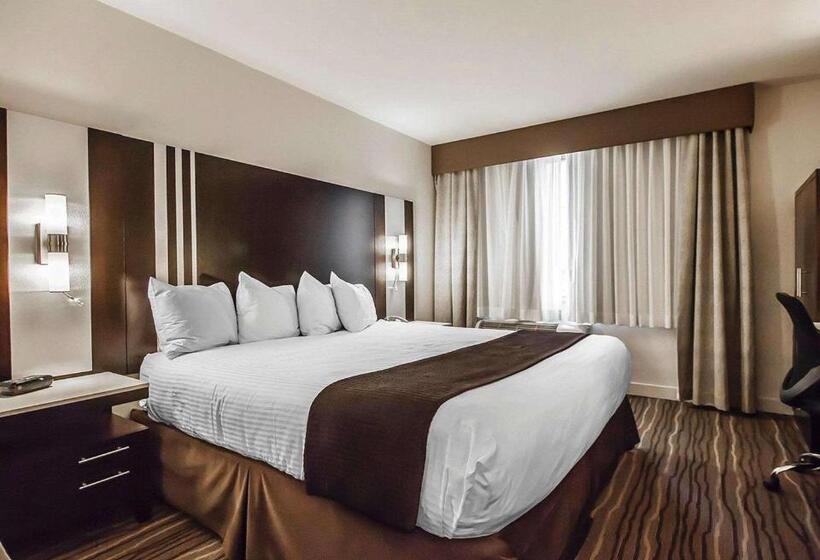 キングサイズベッドのスタンダードルーム, Quality Hotel Airport South