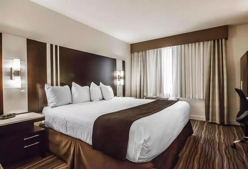 اتاق استاندارد با تخت بزرگ, Quality Hotel Airport South