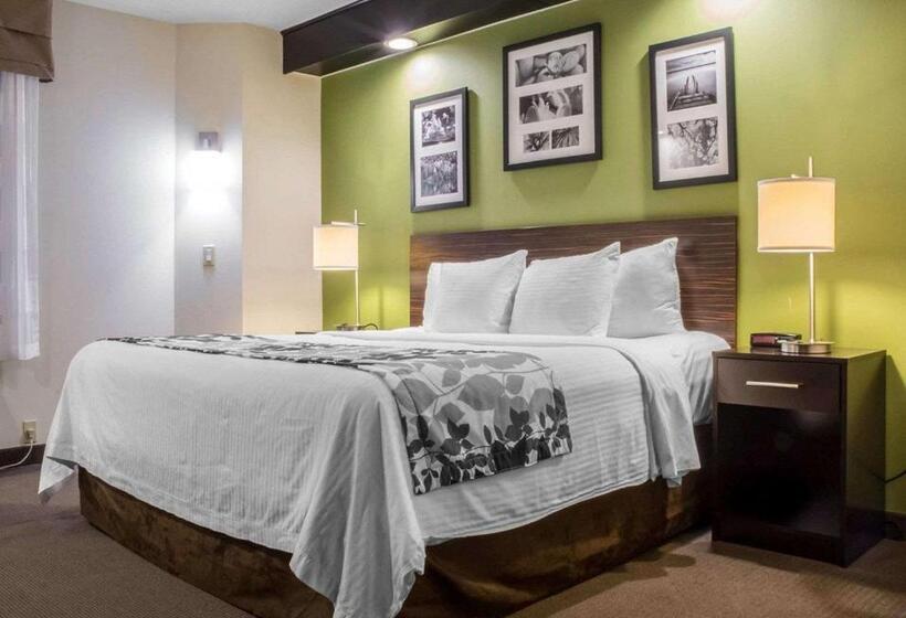 غرفة قياسية سرير كينج, Sleep Inn