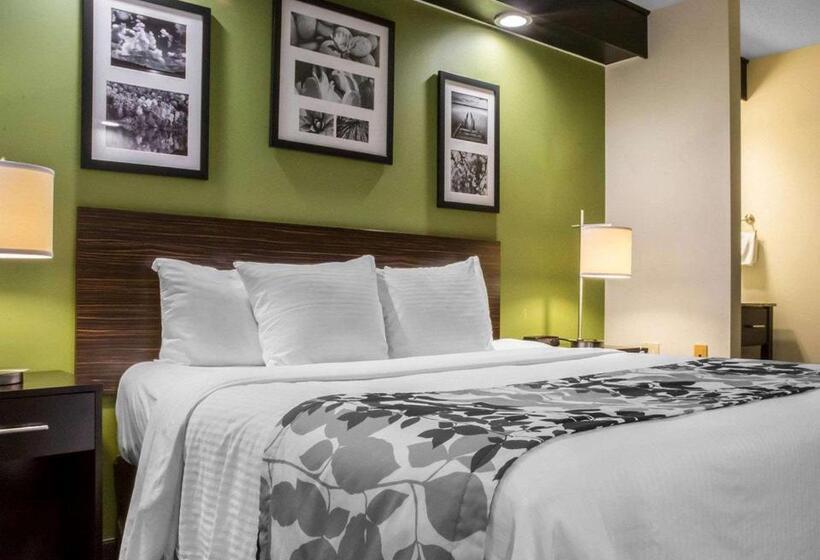 스탠다드 룸 킹사이즈 침대, Sleep Inn