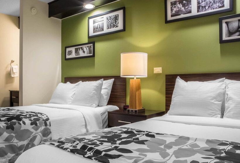 غرفه قياسيه سريرين مزدوجين, Sleep Inn