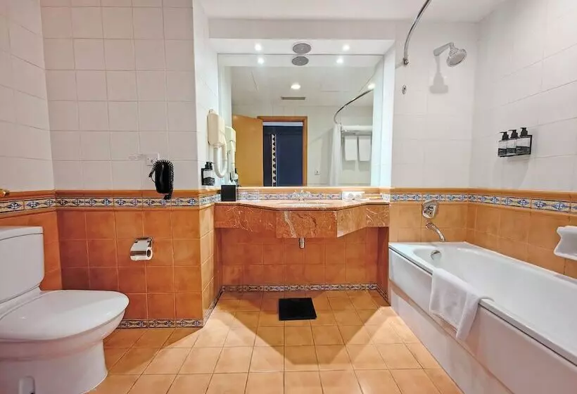 اتاق لوکس, Millennium Airport Hotel Dubai