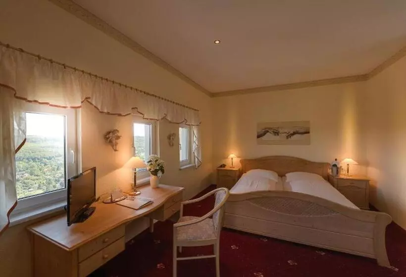 パノラミックビュースタンダードルーム, Berghotel Wilhelmsburg