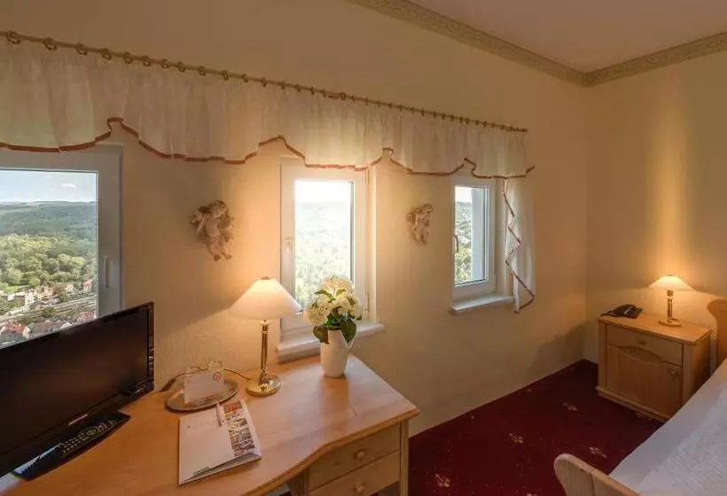 パノラミックビュースタンダードルーム, Berghotel Wilhelmsburg