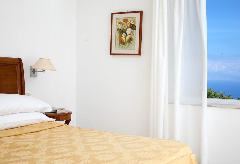 Полулюкс Вид на Море, Bellavista