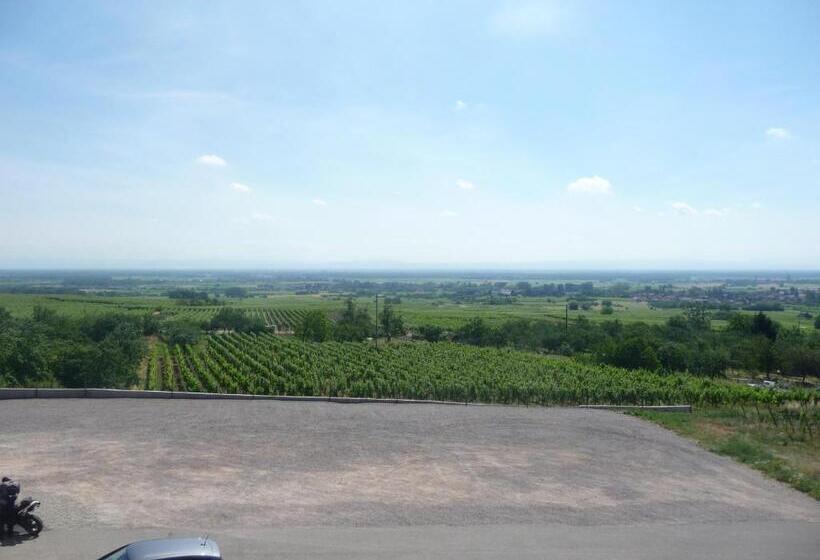 带观景的标准间, Relais Du Klevener