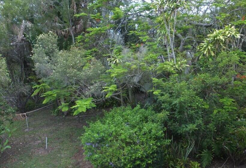 غرفة قياسية, Torquay Terrace Bed & Breakfast