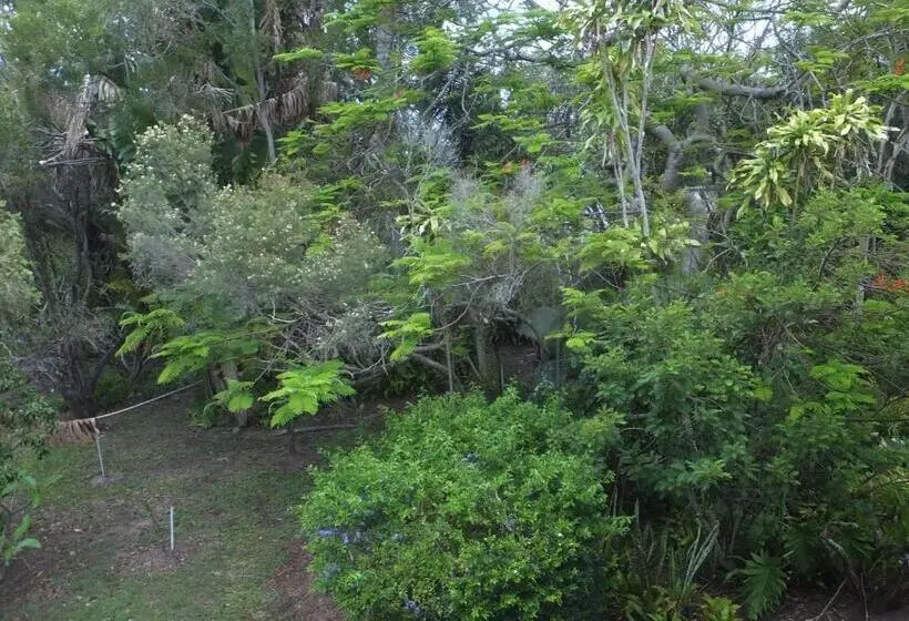 اتاق استاندارد, Torquay Terrace Bed & Breakfast