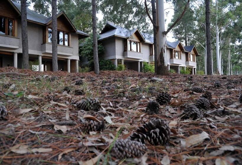 جناح, Carmelo Resort & Spa