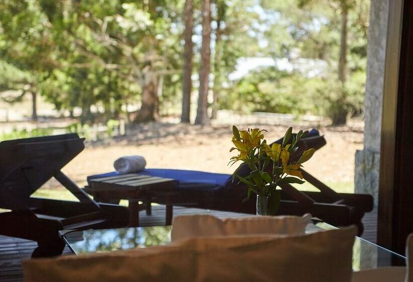 جناح بريميوم, Carmelo Resort & Spa