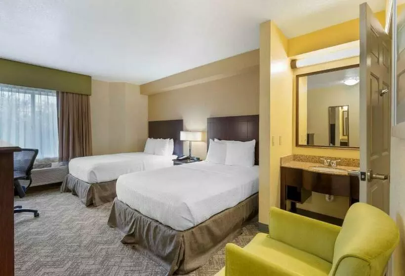 ２ダブルベッドのスタンダードルーム, Spark by Hilton Orlando near SeaWorld