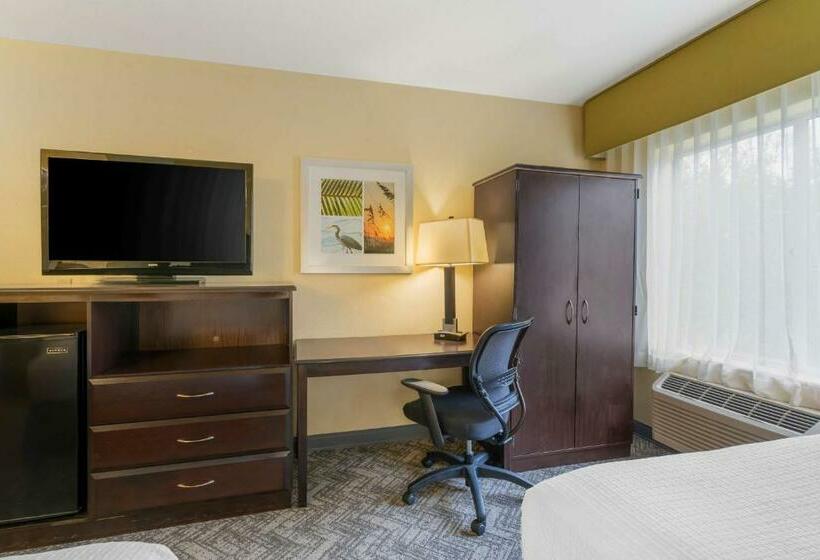 Standard Room 2 Double Beds