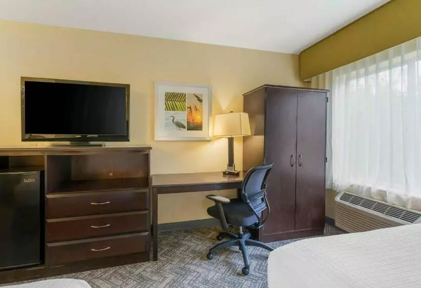 Standard Room 2 Double Beds