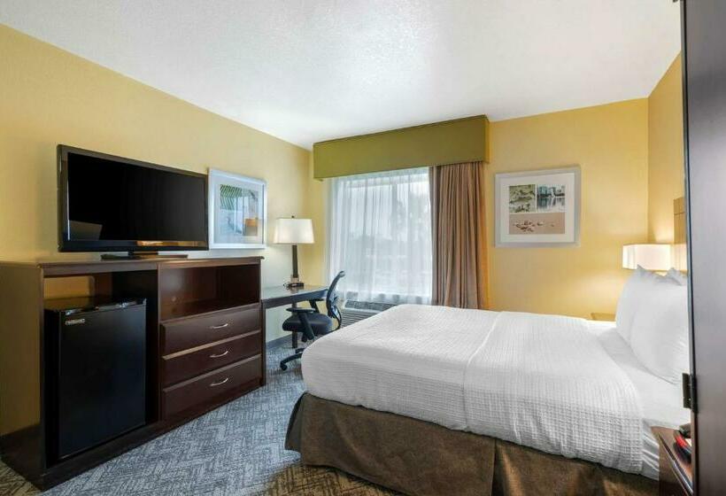 Standard Room Adapted for people with reduced mobility