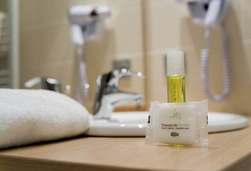 스탠다드 룸, Brit Hotel Mâcon Centre Gare