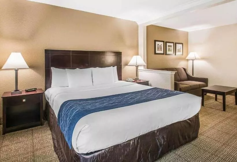 キングサイズベッドのスイートルーム, Comfort Inn & Suites Deland  Near University