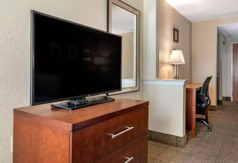 キングサイズベッドのスイートルーム, Comfort Inn & Suites Deland  Near University