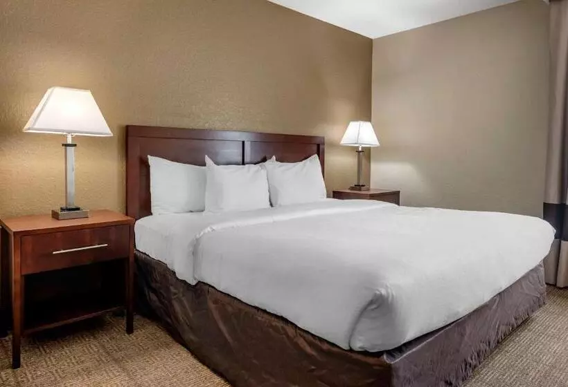 キングサイズベッドのスイートルーム, Comfort Inn & Suites Deland  Near University