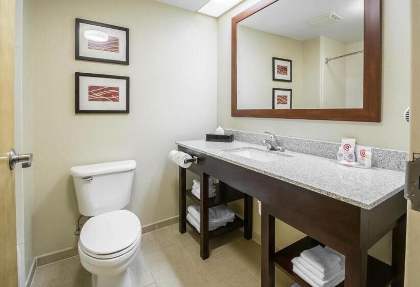 غرفة قياسية سرير كينج لذوى الإحتياجات الخاصة, Comfort Inn & Suites Deland  Near University