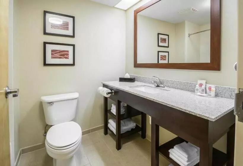 身障者適用キングサイズベッドルーム, Comfort Inn & Suites Deland  Near University