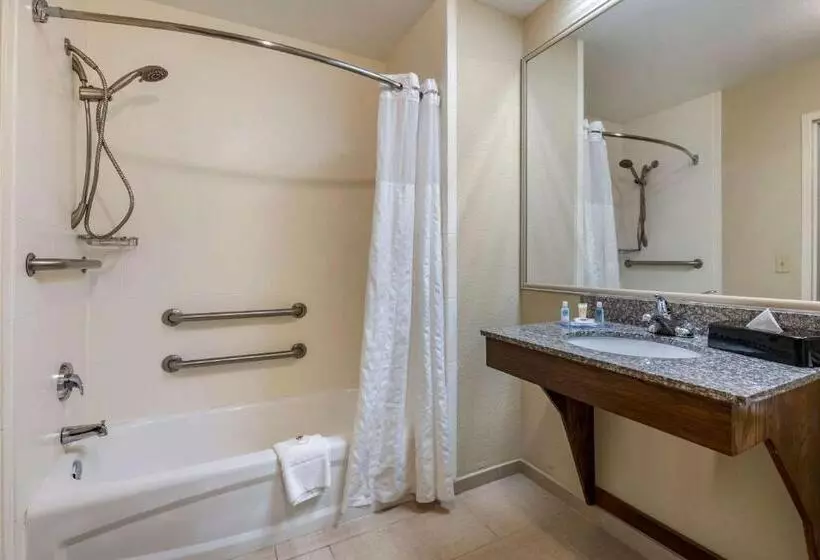 身障者適用キングサイズベッドルーム, Comfort Inn & Suites Deland  Near University