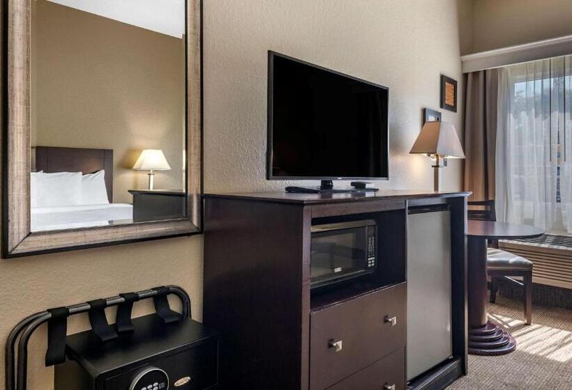 장애인을 위한 킹사이즈 침대 스탠다드 룸, Comfort Inn & Suites Deland  Near University