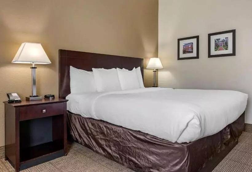 身障者適用キングサイズベッドルーム, Comfort Inn & Suites Deland  Near University
