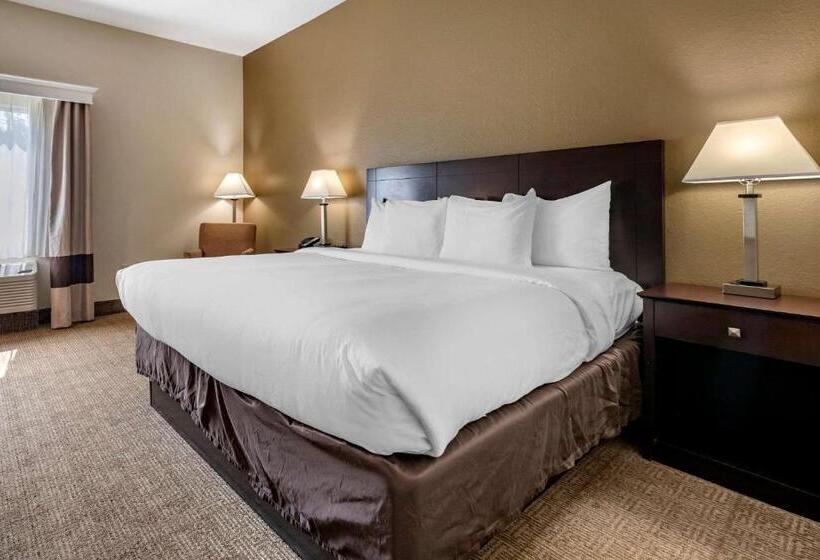 غرفة قياسية سرير كينج لذوى الإحتياجات الخاصة, Comfort Inn & Suites Deland  Near University