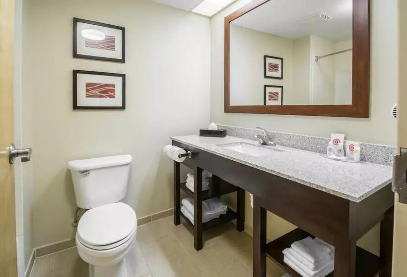 スイート, Comfort Inn & Suites Deland  Near University