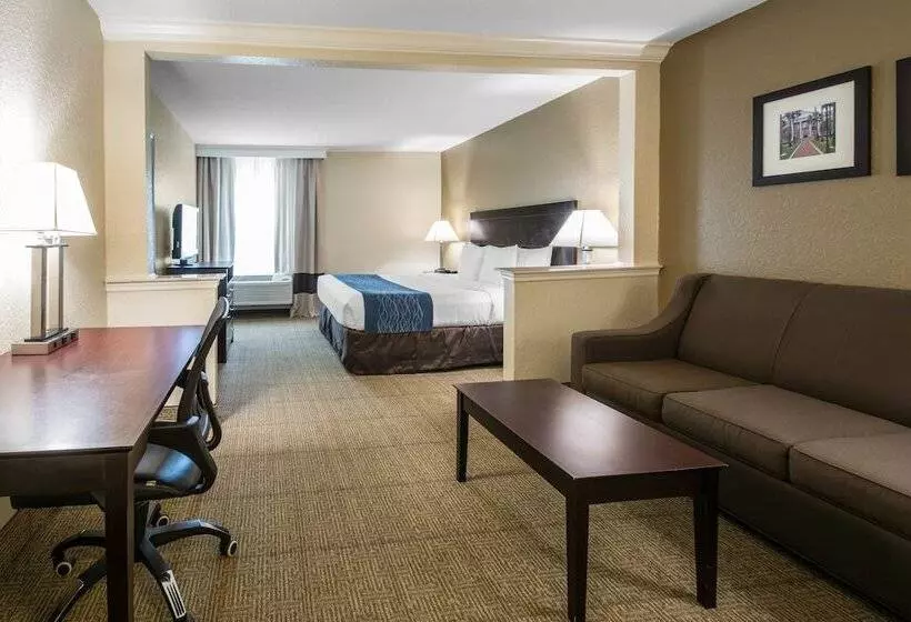 スイート, Comfort Inn & Suites Deland  Near University