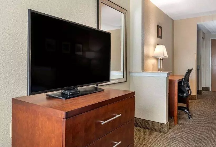 スイート, Comfort Inn & Suites Deland  Near University