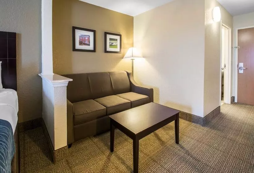 スイート, Comfort Inn & Suites Deland  Near University