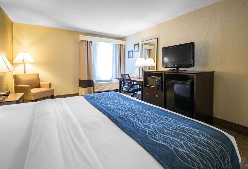 스위트, Comfort Inn & Suites Deland  Near University