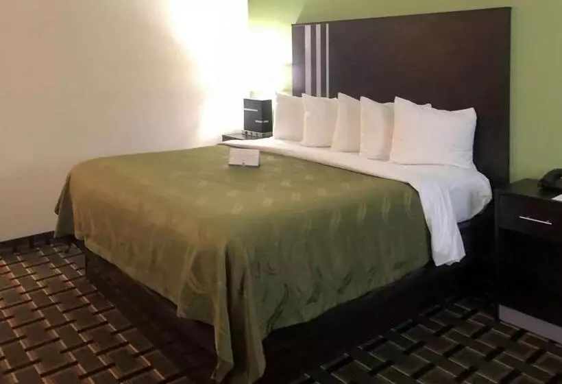 キングサイズベッドのスタンダードルーム, Quality Inn Elkton St. Augustine South