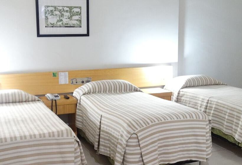 标准三人间, Rede Andrade Onda Mar