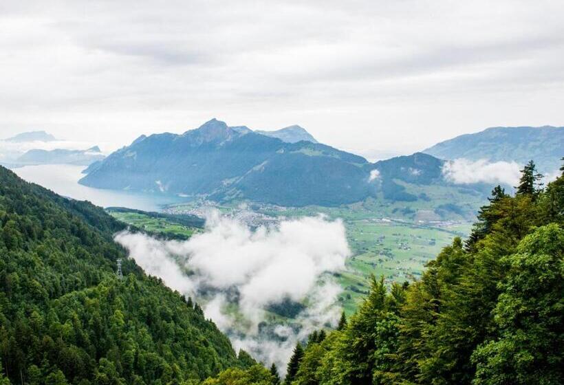 经典单人间, Wellness Hotel Stoos