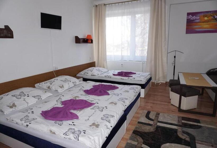 غرفة قياسية رباعية, Guľa