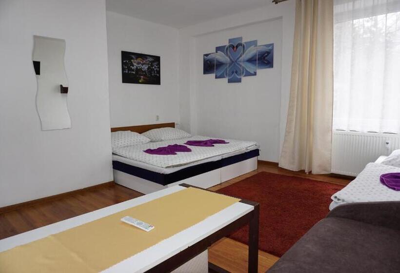 غرفة قياسية رباعية, Guľa