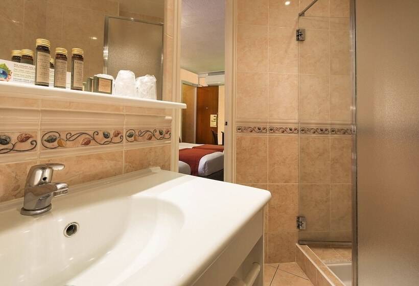 コンフォートシングルルーム, Terminus Lyon