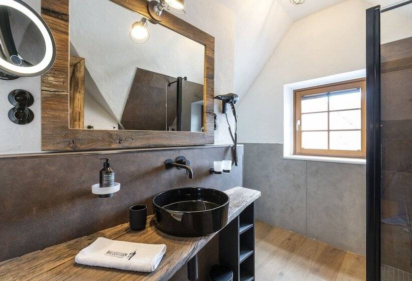 침실 1개 디럭스 아파트, Apart Hotel Wasserturm