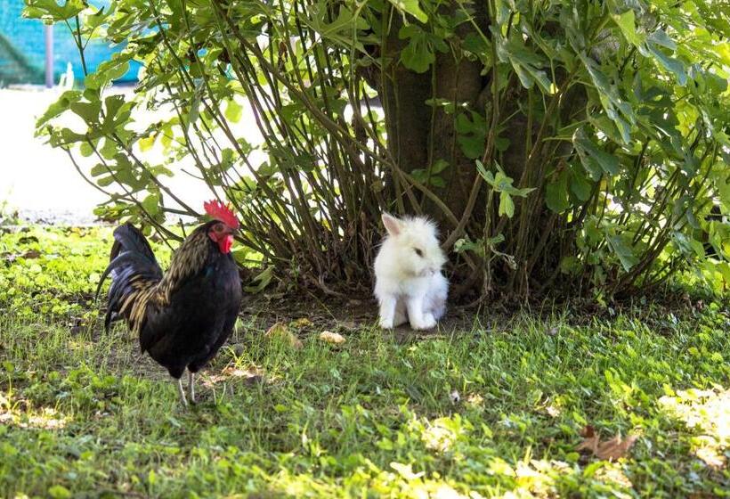 Standard room with outdoor bath, Casolare La Quercia