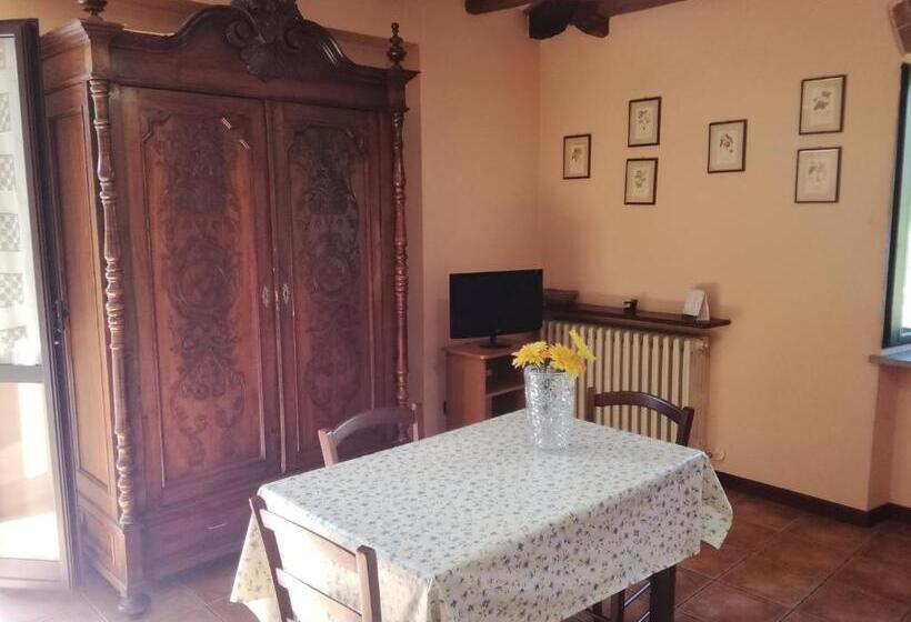 Студио Стандарт с Террасой, Guest House  Il Farinello