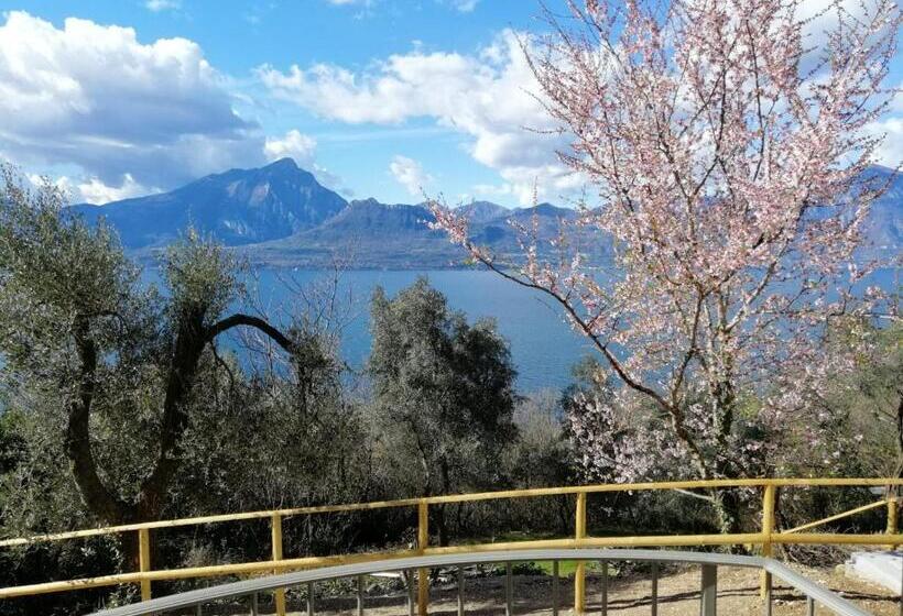 Апартаменты 1 Спальня Нижний Этаж, Agriturismo Le Anze