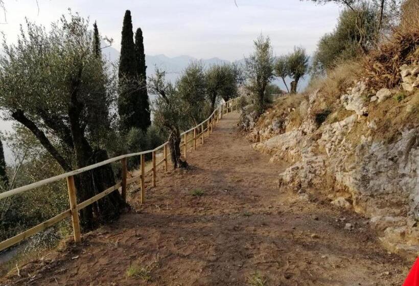 1階の1ベッドルームアパートメント, Agriturismo Le Anze