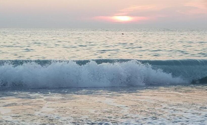 标准三人间, B&b Nicole